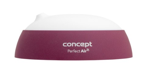 Dyfuzor zapachu Concept Perfect Air Berry DF1011 Dyfuzor zapachu Concept Perfect Air Berry DF1011