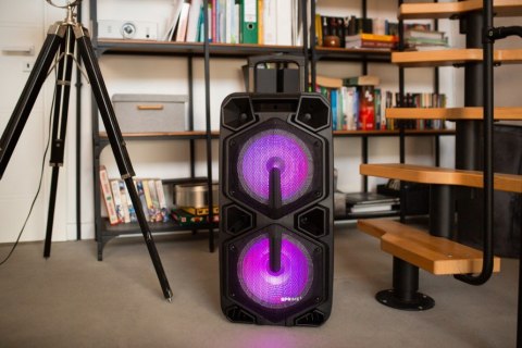 Głośnik APA20 system audio Bluetooth Karaoke Głośnik APA20 system audio Bluetooth Karaoke