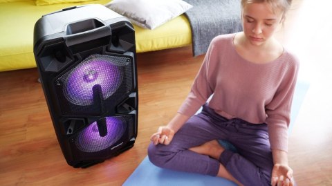 Głośnik APA20 system audio Bluetooth Karaoke Głośnik APA20 system audio Bluetooth Karaoke