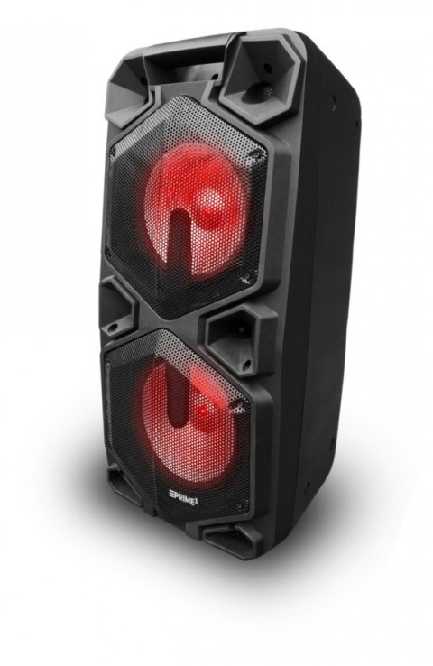 Głośnik APA20 system audio Bluetooth Karaoke Głośnik APA20 system audio Bluetooth Karaoke