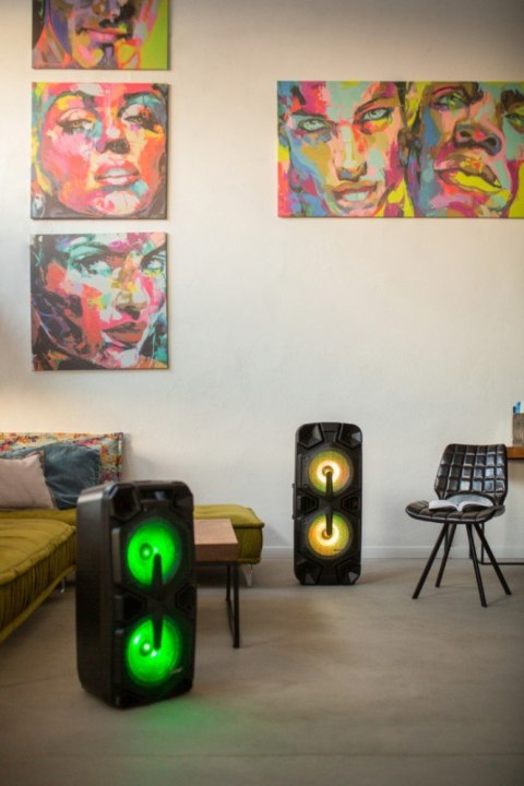 Głośnik APA20 system audio Bluetooth Karaoke Głośnik APA20 system audio Bluetooth Karaoke