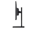 Monitor PRO MP251P 24.5 cala/LED/FHD/Flat/100Hz/Czarny