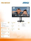 Monitor PRO MP251P 24.5 cala/LED/FHD/Flat/100Hz/Czarny
