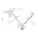 Uchwyt biurkowy DS70-700BL2 2LCD