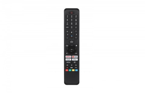 Telewizor QLED 55 cali 55QG5E63DG Telewizor QLED 55 cali 55QG5E63DG