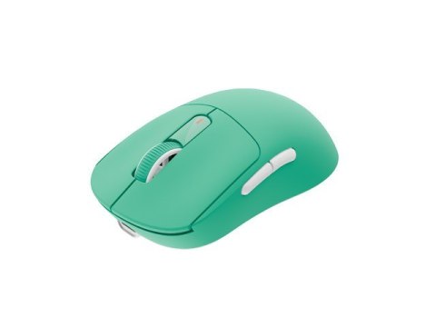 Mysz Fury TANTO T4 RGB 12000DPI bezprzewodowa miętowa Mysz Fury TANTO T4 RGB 12000DPI bezprzewodowa miętowa