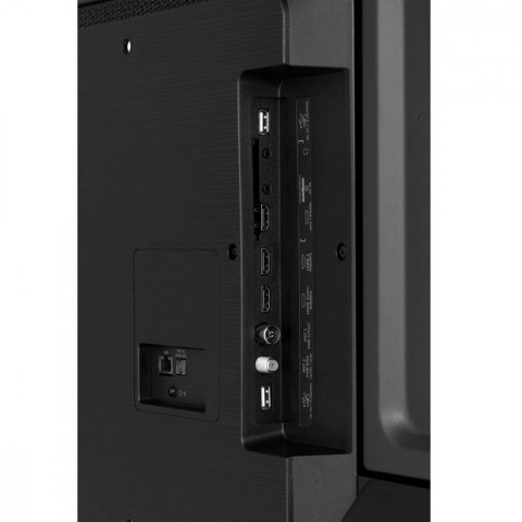 Telewizor LED 55 cali 55A6N Telewizor LED 55 cali 55A6N