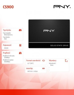 Dysk SSD 256GB CS900 2.5 S3 BULK