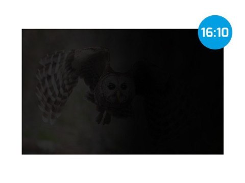 Filtr prywatyzujący RODO Owl 16 cali 16:10 Filtr prywatyzujący RODO Owl 16 cali 16:10