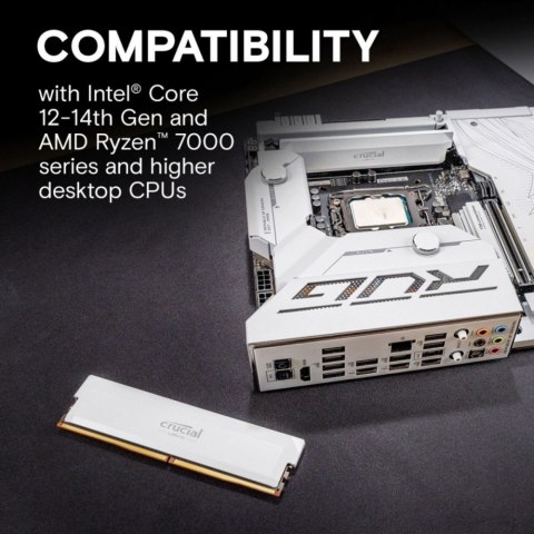 Pamięć DDR5 Pro OC 16/6400(1*16GB) CL38 biała Pamięć DDR5 Pro OC 16/6400(1*16GB) CL38 biała