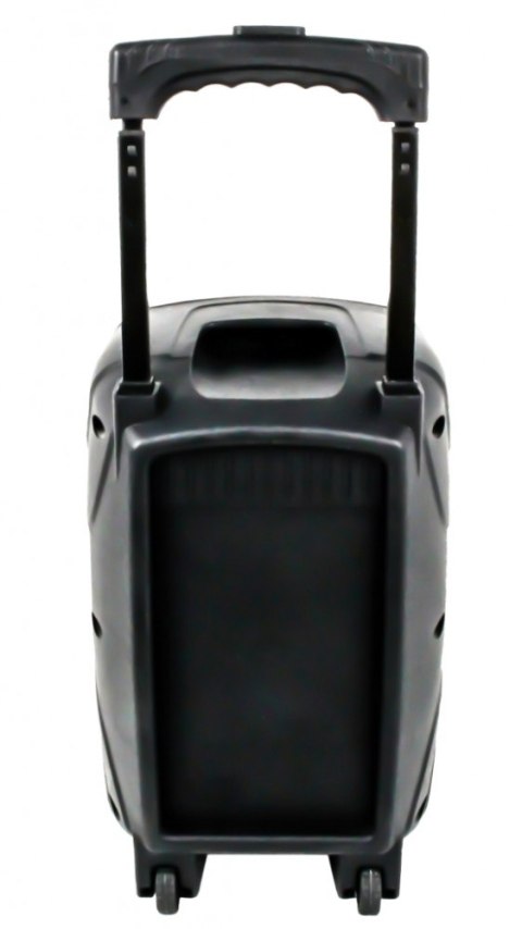 Głośnik APS22 system audio Bluetooth Karaoke Głośnik APS22 system audio Bluetooth Karaoke