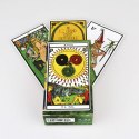 Karty Tarot Esoteric Karty Tarot Esoteric