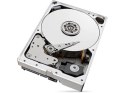 Dysk SkyHawkAI 10TB 3,5 256MB ST10000VE001 Dysk SkyHawkAI 10TB 3,5 256MB ST10000VE001