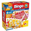 Gra Ludoteca Bingo Gra Ludoteca Bingo