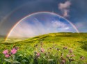 Puzzle 1500 elementów Tęcza nad łąka Puzzle 1500 elementów Tęcza nad łąka
