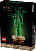 Klocki Botanicals 10344 Dracena sandera Klocki Botanicals 10344 Dracena sandera