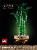 Klocki Botanicals 10344 Dracena sandera Klocki Botanicals 10344 Dracena sandera