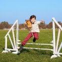 Koń na kiju Hobby Horse HOPPIHORSE A4 Chestnut - brąz, maść kasztanowata Koń na kiju Hobby Horse HOPPIHORSE A4 Chestnut - brąz, maść kasztanowata