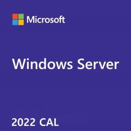 ROK Win Svr 2022 CAL 1Clt User