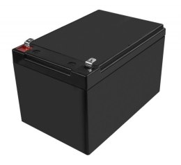 Akumulator AGM VRLA 12V 10Ah