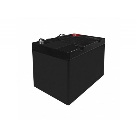 Akumulator AGM VRLA 12V 55Ah Akumulator AGM VRLA 12V 55Ah