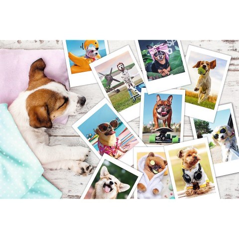 Puzzle 300 elementów - Psy, zdjęcia z wakacji Puzzle 300 elementów - Psy, zdjęcia z wakacji