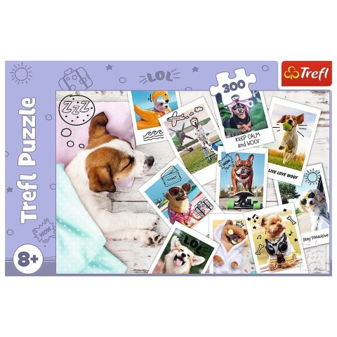 Puzzle 300 elementów - Psy, zdjęcia z wakacji Puzzle 300 elementów - Psy, zdjęcia z wakacji