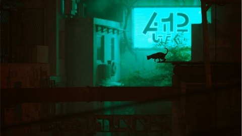 Gra PlayStation 4 Stray Gra PlayStation 4 Stray
