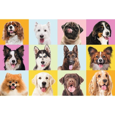 Puzzle 60 elementów Słodkie psiaki Puzzle 60 elementów Słodkie psiaki