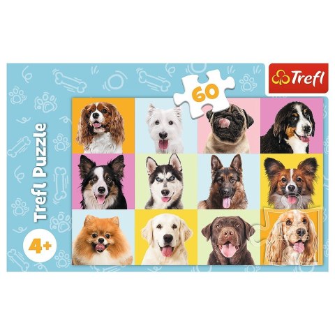 Puzzle 60 elementów Słodkie psiaki Puzzle 60 elementów Słodkie psiaki