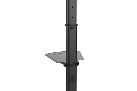Stojak mobilny pojedynczy z półką, 1xLCD, max. 70", max. 50kg, VESA max. 600x400 pivot Stojak mobilny pojedynczy z półką, 1xLCD, max. 70", max. 50kg, VESA max. 600x400 pivot