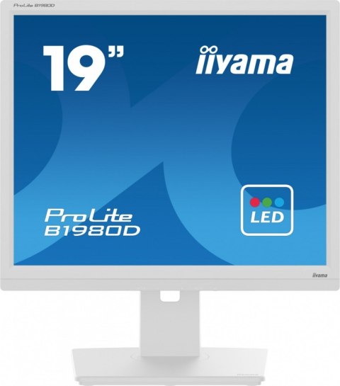 Monitor 19 cali B1980D-W5 DVI,VGA,PIVIOT,HAS/150mm,5:4 Monitor 19 cali B1980D-W5 DVI,VGA,PIVIOT,HAS/150mm,5:4