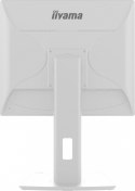 Monitor 19 cali B1980D-W5 DVI,VGA,PIVIOT,HAS/150mm,5:4