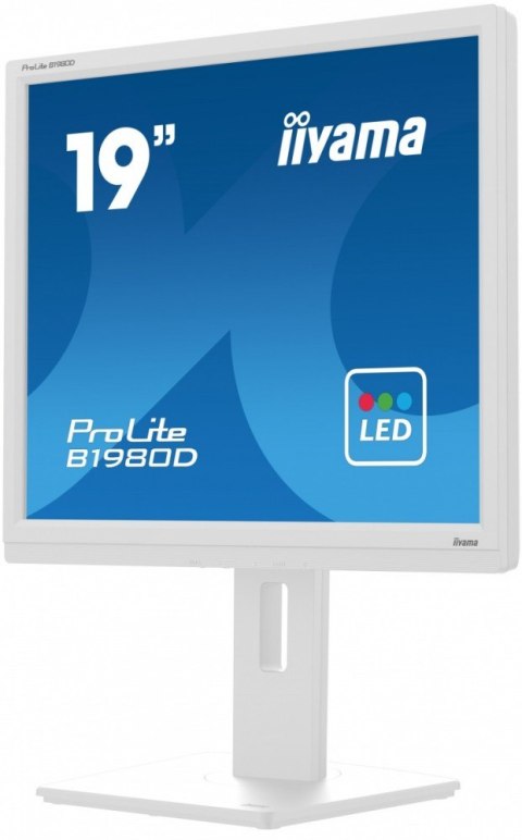 Monitor 19 cali B1980D-W5 DVI,VGA,PIVIOT,HAS/150mm,5:4 Monitor 19 cali B1980D-W5 DVI,VGA,PIVIOT,HAS/150mm,5:4