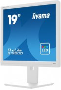 Monitor 19 cali B1980D-W5 DVI,VGA,PIVIOT,HAS/150mm,5:4