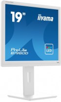 Monitor 19 cali B1980D-W5 DVI,VGA,PIVIOT,HAS/150mm,5:4