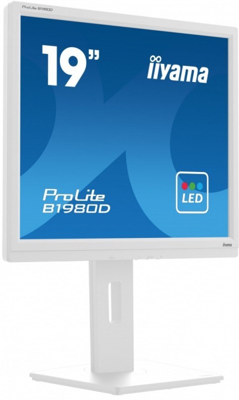 Monitor 19 cali B1980D-W5 DVI,VGA,PIVIOT,HAS/150mm,5:4 Monitor 19 cali B1980D-W5 DVI,VGA,PIVIOT,HAS/150mm,5:4