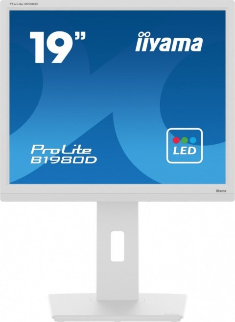 Monitor 19 cali B1980D-W5 DVI,VGA,PIVIOT,HAS/150mm,5:4 Monitor 19 cali B1980D-W5 DVI,VGA,PIVIOT,HAS/150mm,5:4