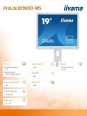 Monitor 19 cali B1980D-W5 DVI,VGA,PIVIOT,HAS/150mm,5:4