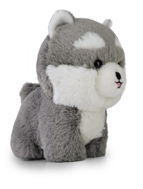 Maskotka TEDDY PETS Husky Maskotka TEDDY PETS Husky