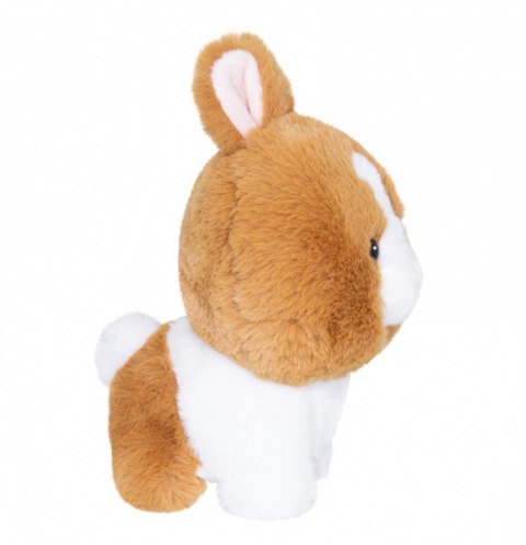 Maskotka TEDDY PETS Króliczek złoty Maskotka TEDDY PETS Króliczek złoty