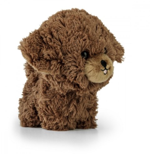 Maskotka TEDDY PETS Szczenię pudla Maskotka TEDDY PETS Szczenię pudla