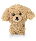 Maskotka TEDDY PETS Złoty pudel