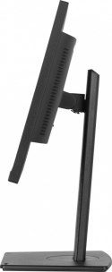 Monitor 24 cale XUB2497HSN-B1 IPS,USB-C Dock,HDMI,DP /5y/