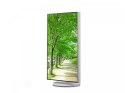 Monitor biznesowy MultiSync EA272QW 27 cali biały