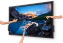 Monitor 54.6 cala P5524QT Touch IPS LED UHD 4K(3840x2160)/16:9/DP/HDMI/USB-C/RS232/USB/RJ45/Głośniki/3Y