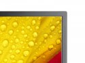 Monitor wielkoformatowy MultiSync M501-2 50 cali UHD 500cd/m2 24/7