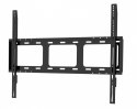 Monitor 75 cali TE7513A-B1AG INFRARED, 40pkt, IPS, 4K, 7H, 450cd/m2, WiFi, USB, ANDROID 14, Google EDLA, 2x20W, uchwyt ścienny