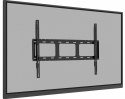 Monitor 75 cali TE7513A-B1AG INFRARED, 40pkt, IPS, 4K, 7H, 450cd/m2, WiFi, USB, ANDROID 14, Google EDLA, 2x20W, uchwyt ścienny
