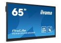 Monitor 65 cali TE6512MIS-B4AG 40pkt,IPS,4K,24/7,7H, ANDROID 14, RK3576, 8/128GB, EDLA, Essential